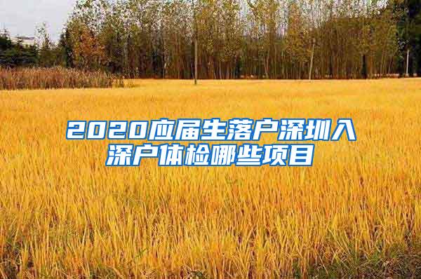 2020应届生落户深圳入深户体检哪些项目