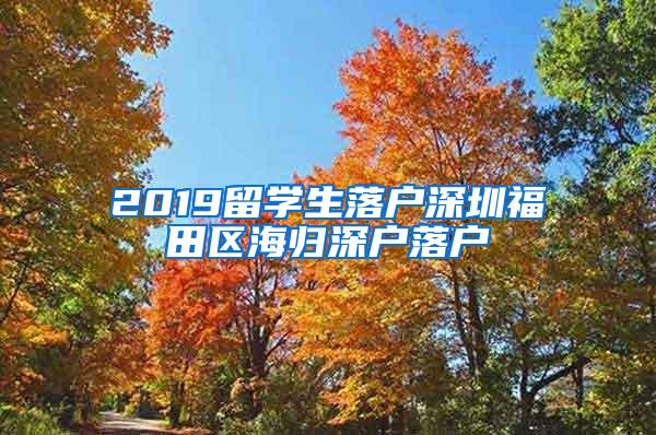 2019留学生落户深圳福田区海归深户落户