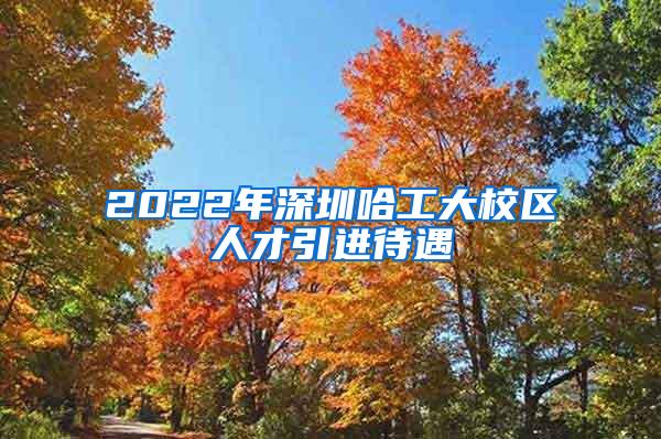 2022年深圳哈工大校区人才引进待遇