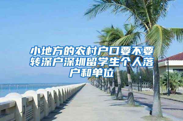 小地方的农村户口要不要转深户深圳留学生个人落户和单位