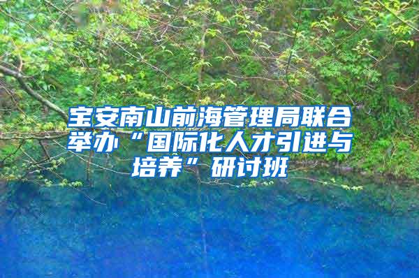 宝安南山前海管理局联合举办“国际化人才引进与培养”研讨班