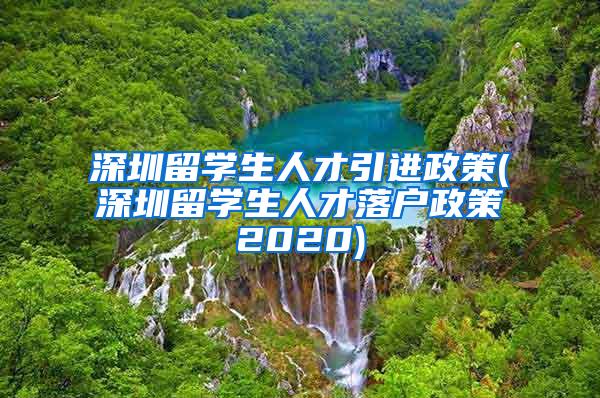 深圳留学生人才引进政策(深圳留学生人才落户政策2020)