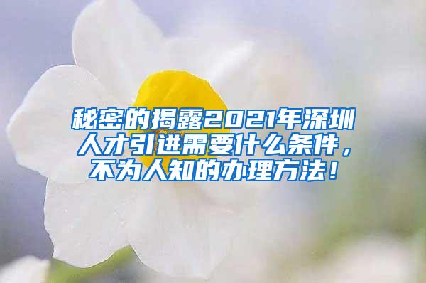 秘密的揭露2021年深圳人才引进需要什么条件，不为人知的办理方法！