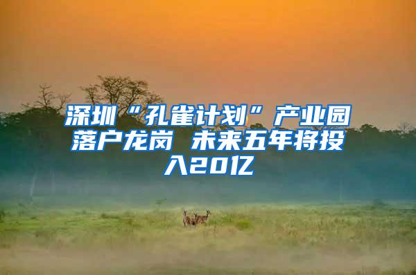 深圳“孔雀计划”产业园落户龙岗 未来五年将投入20亿