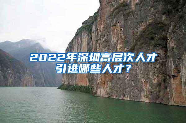 2022年深圳高层次人才引进哪些人才？