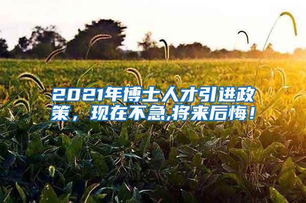 2021年博士人才引进政策，现在不急,将来后悔！