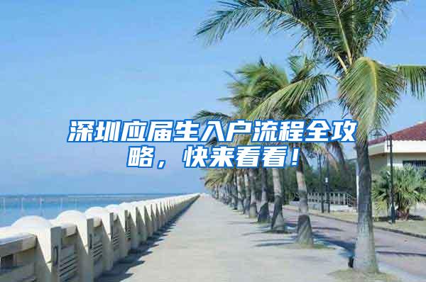 深圳应届生入户流程全攻略，快来看看！