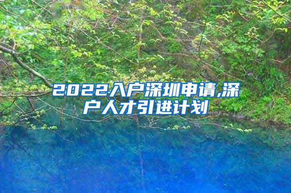 2022入户深圳申请,深户人才引进计划