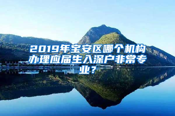 2019年宝安区哪个机构办理应届生入深户非常专业？