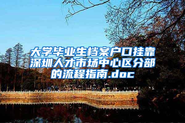 大学毕业生档案户口挂靠深圳人才市场中心区分部的流程指南.doc