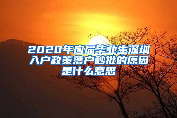 2020年应届毕业生深圳入户政策落户秒批的原因是什么意思