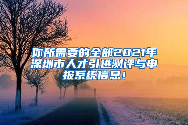 你所需要的全部2021年深圳市人才引进测评与申报系统信息！