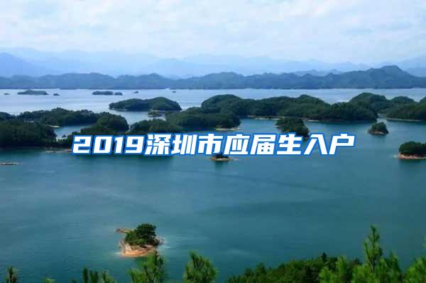 2019深圳市应届生入户