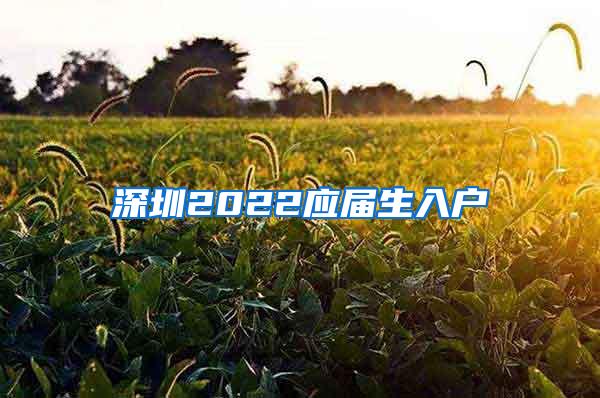 深圳2022应届生入户