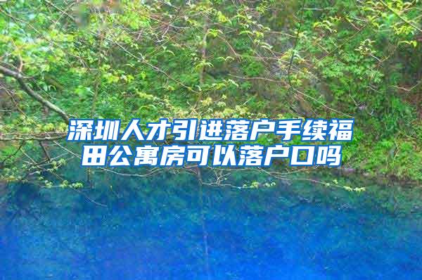 深圳人才引进落户手续福田公寓房可以落户口吗