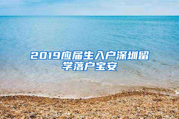 2019应届生入户深圳留学落户宝安