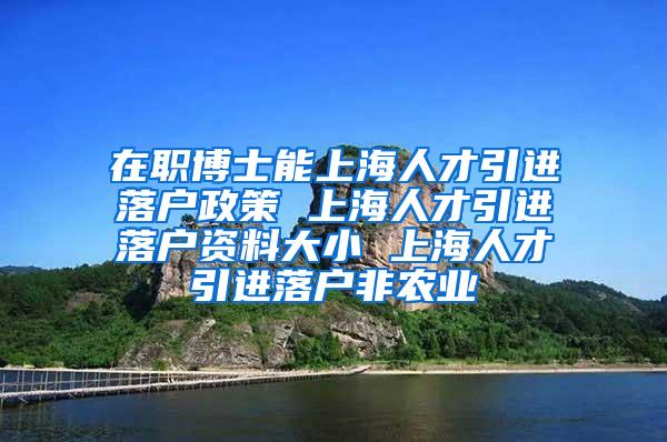 在职博士能上海人才引进落户政策 上海人才引进落户资料大小 上海人才引进落户非农业