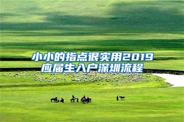 小小的指点很实用2019应届生入户深圳流程