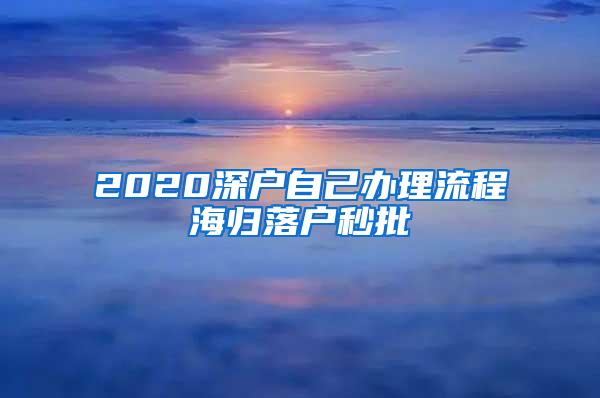 2020深户自己办理流程海归落户秒批