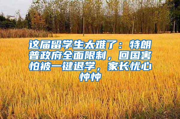 这届留学生太难了：特朗普政府全面限制，回国害怕被一键退学，家长忧心忡忡