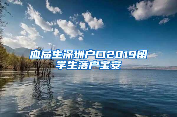 应届生深圳户口2019留学生落户宝安