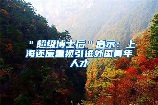 ＂超级博士后＂启示：上海还应重视引进外国青年人才