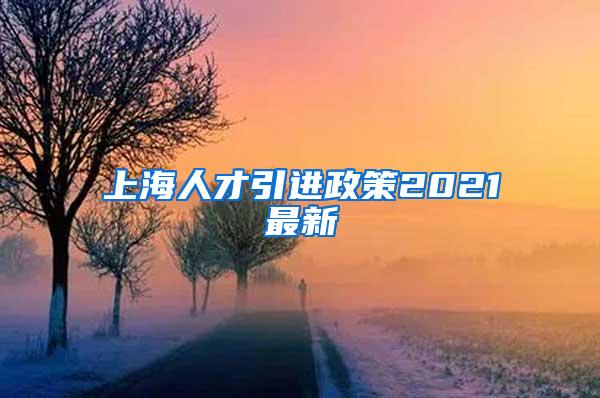 上海人才引进政策2021最新