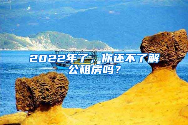 2022年了，你还不了解公租房吗？