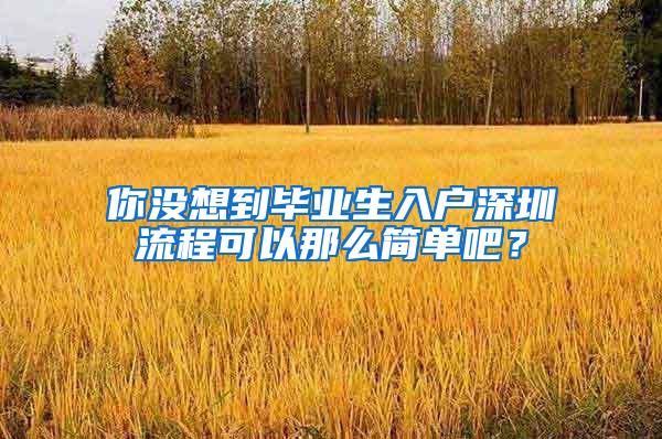 你没想到毕业生入户深圳流程可以那么简单吧？