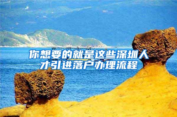 你想要的就是这些深圳人才引进落户办理流程