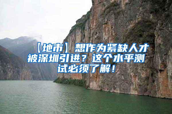 【地市】想作为紧缺人才被深圳引进？这个水平测试必须了解！