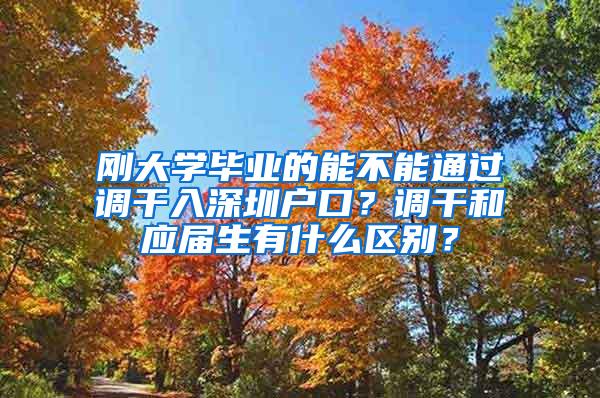 刚大学毕业的能不能通过调干入深圳户口？调干和应届生有什么区别？