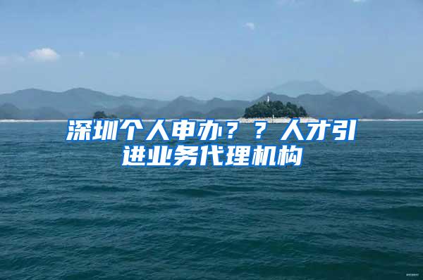 深圳个人申办？？人才引进业务代理机构