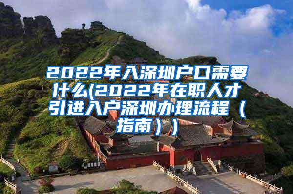 2022年入深圳户口需要什么(2022年在职人才引进入户深圳办理流程（指南）)