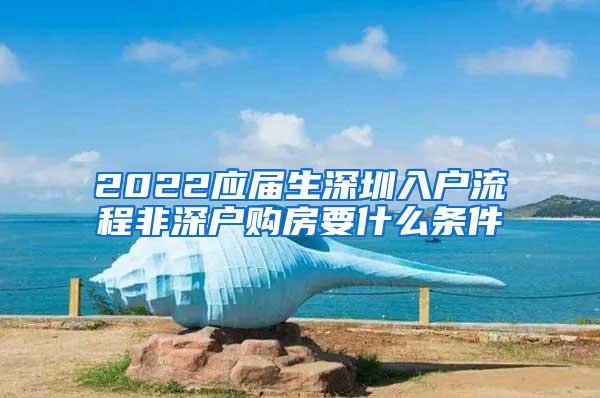 2022应届生深圳入户流程非深户购房要什么条件