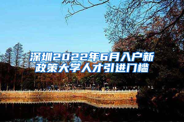 深圳2022年6月入户新政策大学人才引进门槛