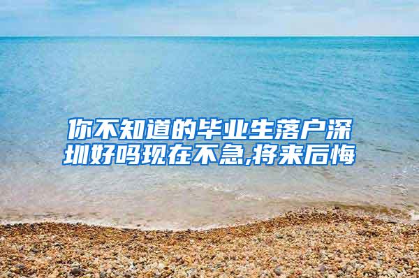 你不知道的毕业生落户深圳好吗现在不急,将来后悔