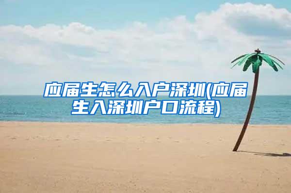 应届生怎么入户深圳(应届生入深圳户口流程)