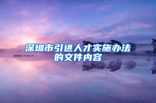 深圳市引进人才实施办法的文件内容