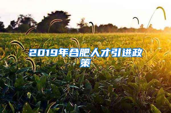 2019年合肥人才引进政策