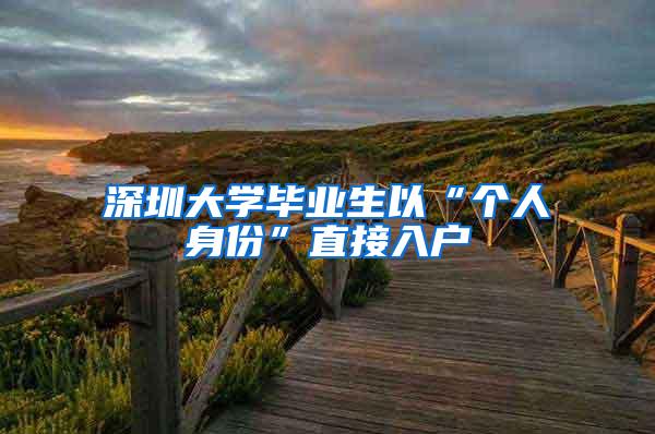 深圳大学毕业生以“个人身份”直接入户