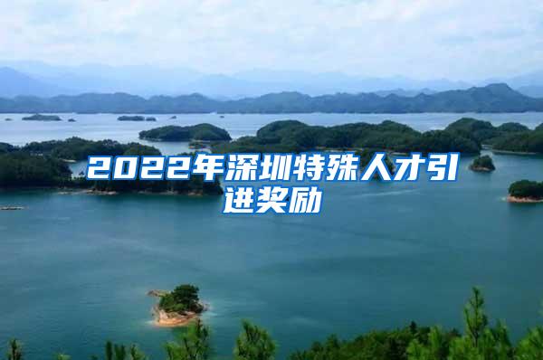 2022年深圳特殊人才引进奖励