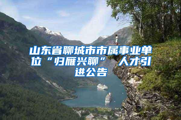 山东省聊城市市属事业单位“归雁兴聊” 人才引进公告