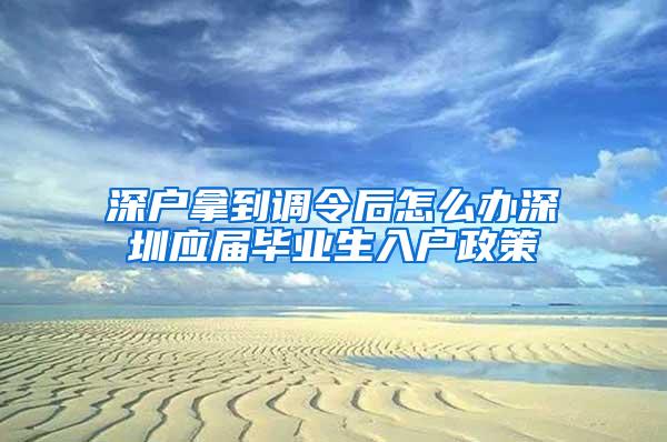 深户拿到调令后怎么办深圳应届毕业生入户政策