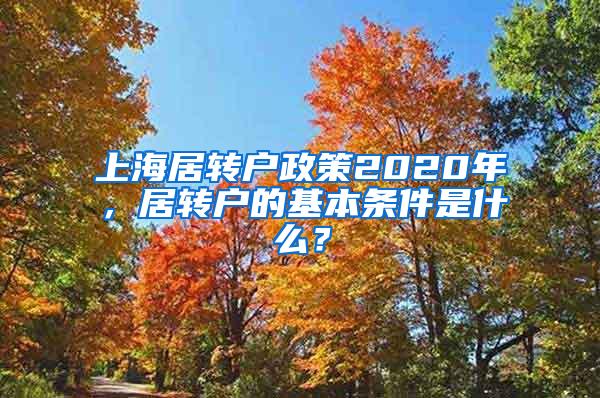 上海居转户政策2020年，居转户的基本条件是什么？