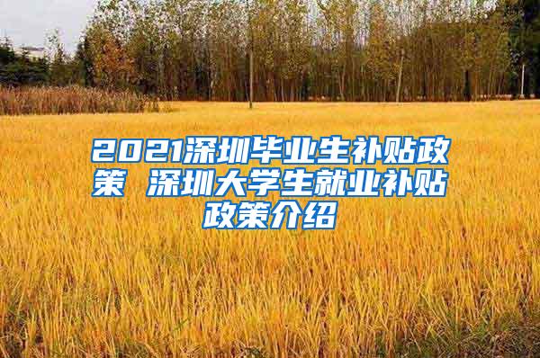 2021深圳毕业生补贴政策 深圳大学生就业补贴政策介绍