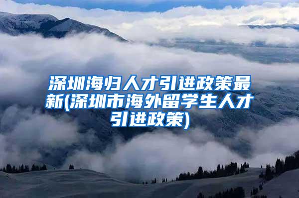 深圳海归人才引进政策最新(深圳市海外留学生人才引进政策)