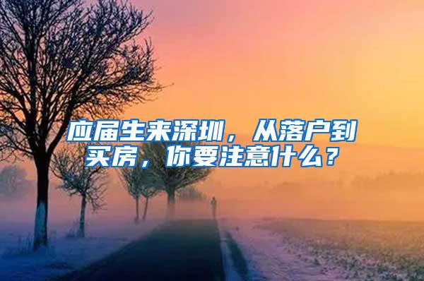 应届生来深圳，从落户到买房，你要注意什么？