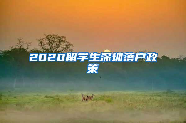 2020留学生深圳落户政策
