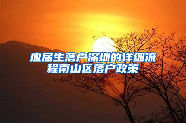 应届生落户深圳的详细流程南山区落户政策